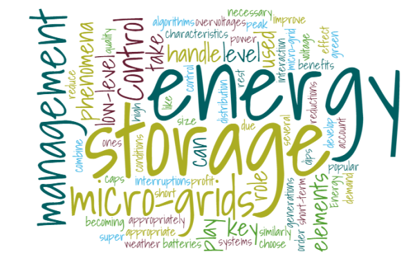 IRP22: Control and management of storage elements in micro-grids